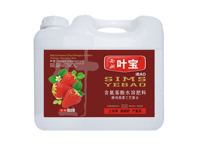 草莓专用.jpg