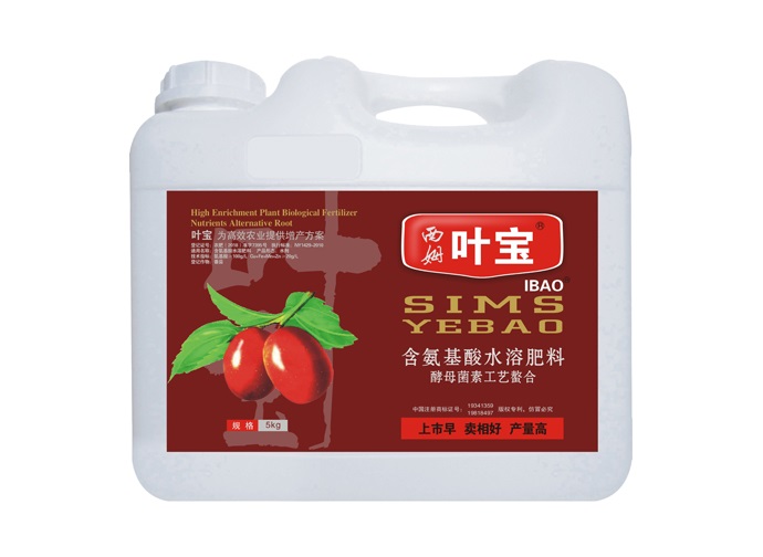 枣专用.jpg